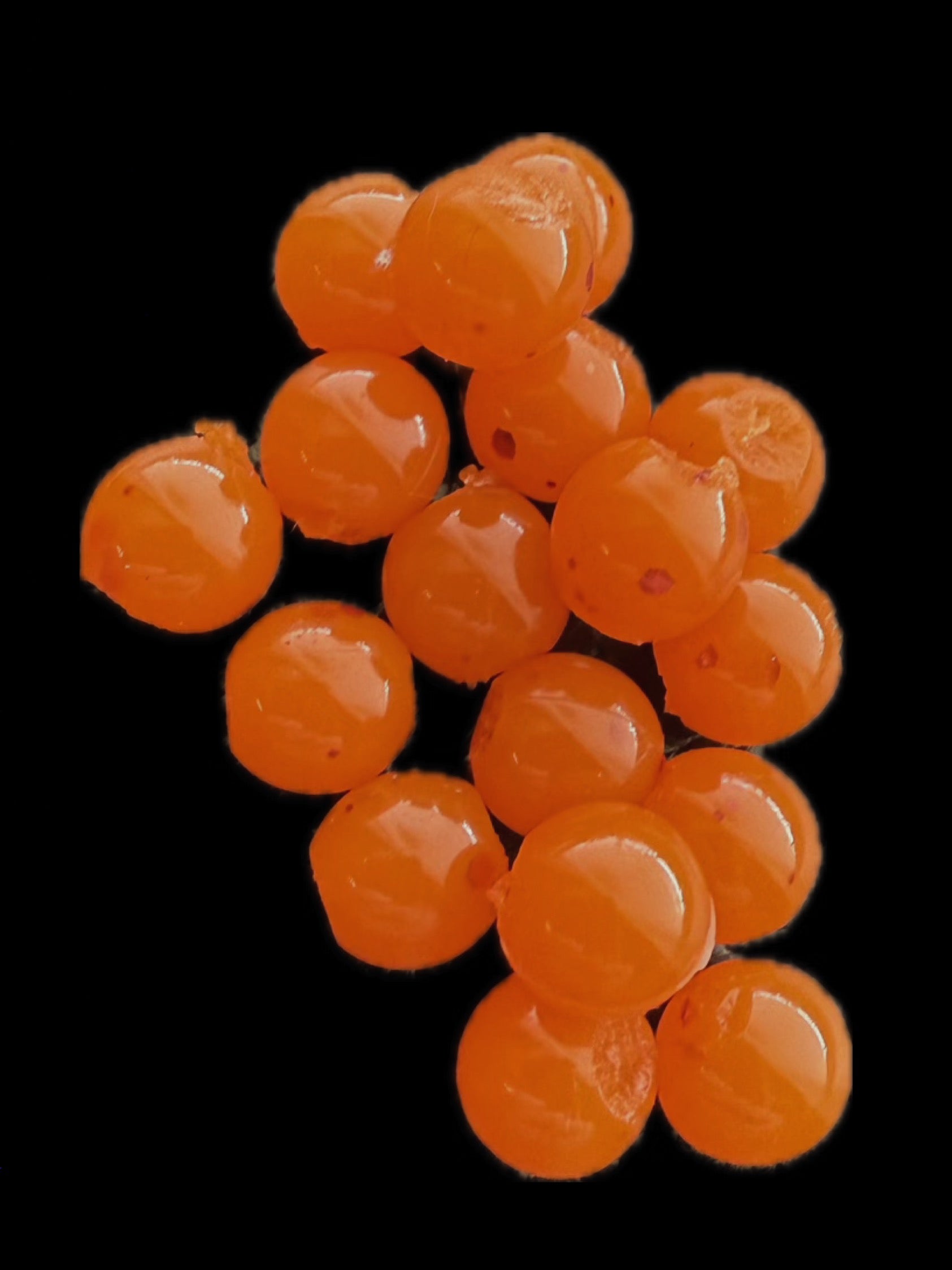 5/16” Salmon Eggs